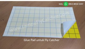 jual-glue-pad-insect-32x17-murah-di-jakarta
