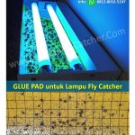 Jual Glue Pad Insect Murah di Bogor